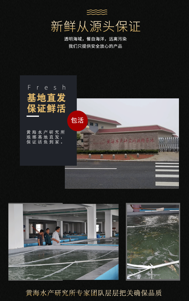 大黄鱼_05.gif