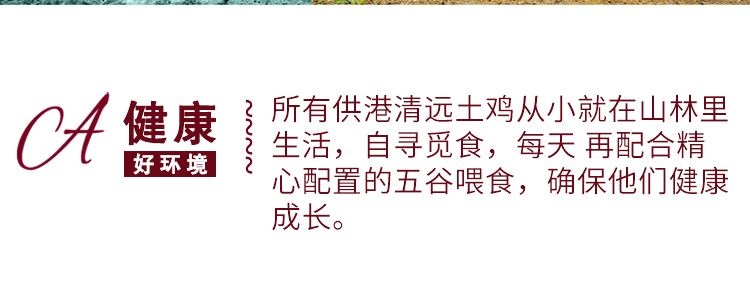 tu5.jpg